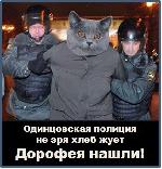 История про кота Дорофея в реальности, в сознании Фэйсбука и в картинках История про кота Дорофея в реальности, в сознании Фэйсбука и в картинках